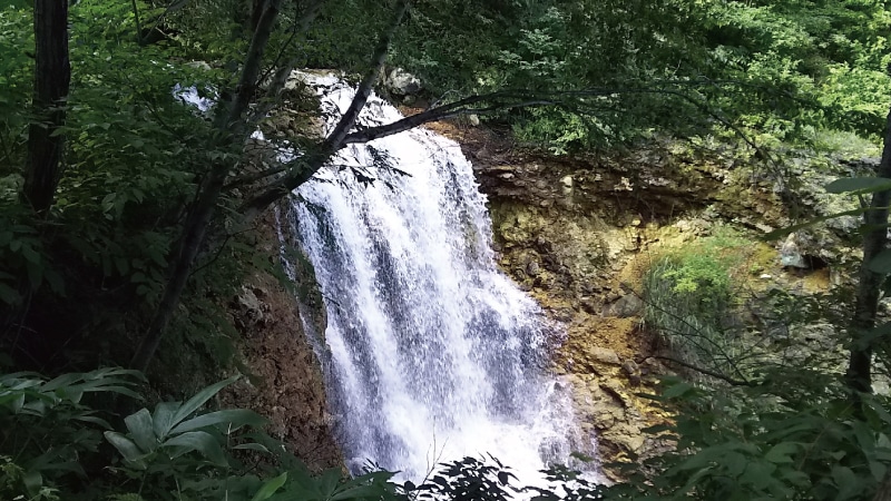 チャツボミゴケ公園滝