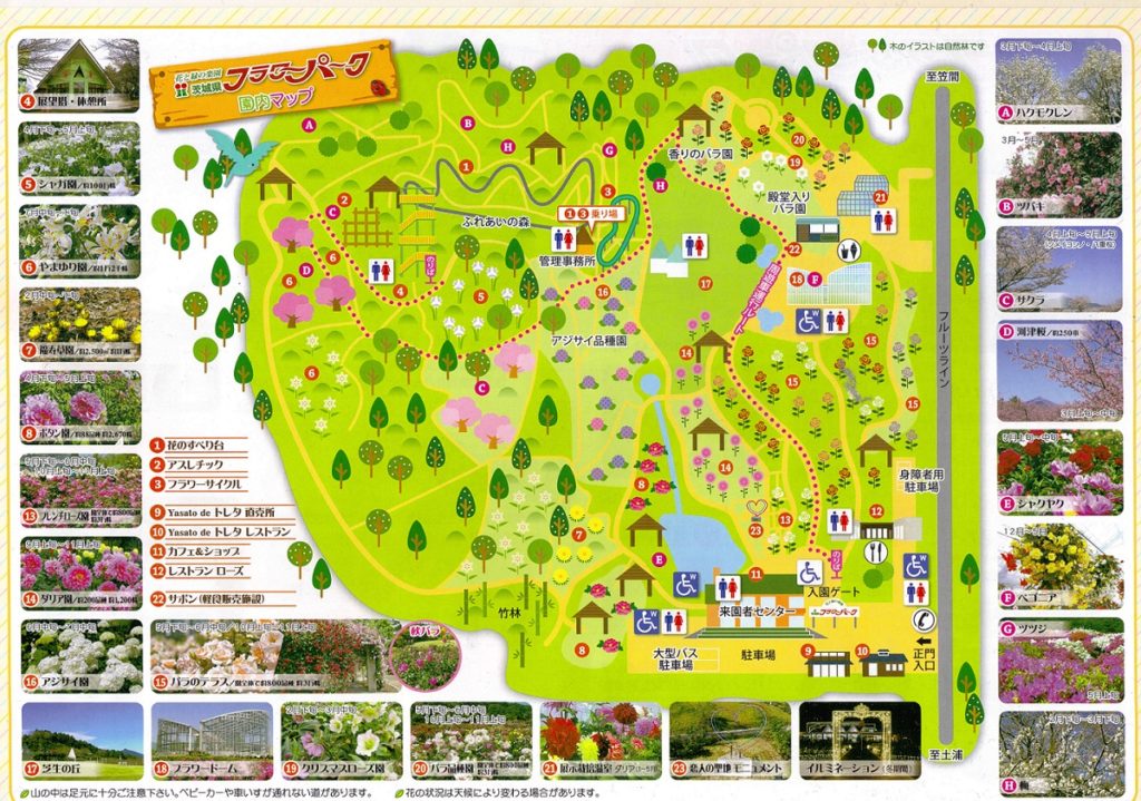 茨城県フラワーパーク園内マップ