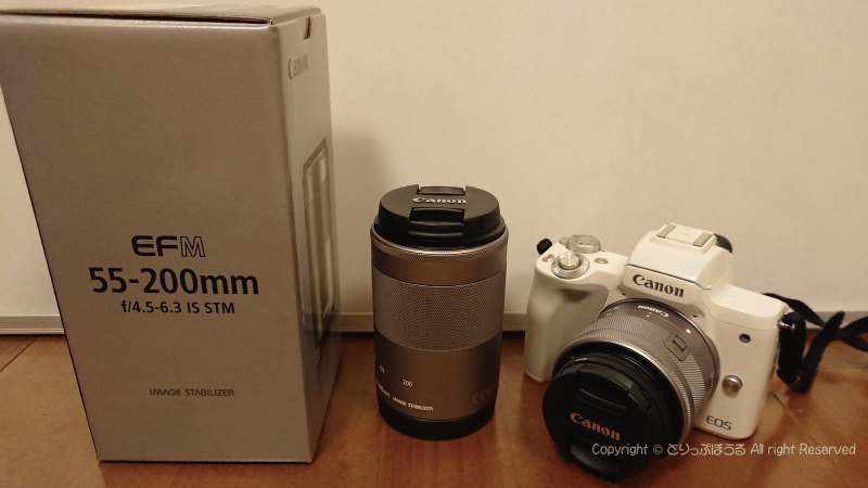 格安saleスタート】 美品☆Canon 望遠ズームレンズ EF-M55-200ISSTM