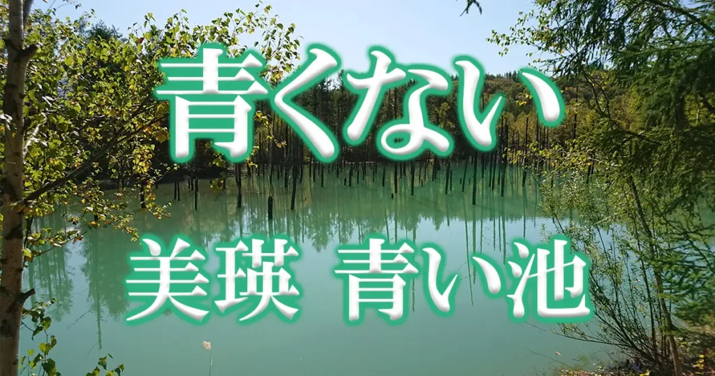美瑛白金青い池2019年10月11時撮影