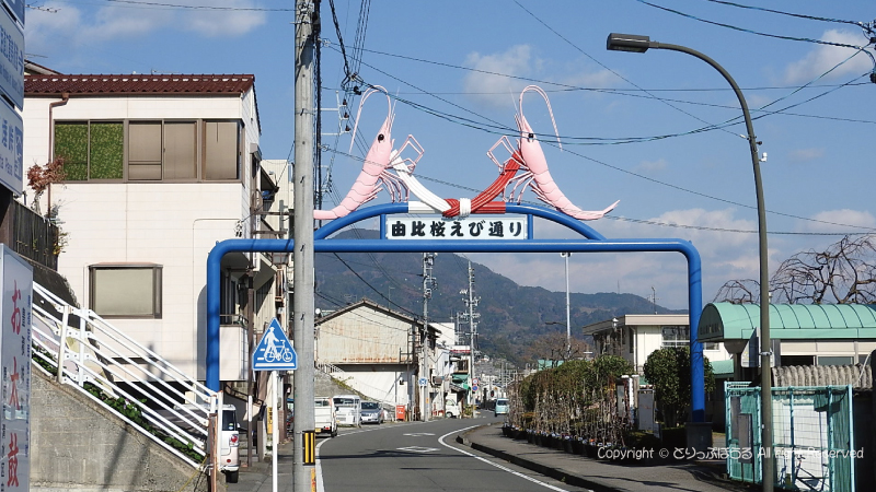 由比駅の桜えびのゲート