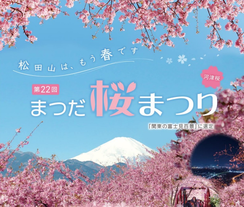 まつだ桜まつりへ新松田駅からバス10分で滞在時間90分