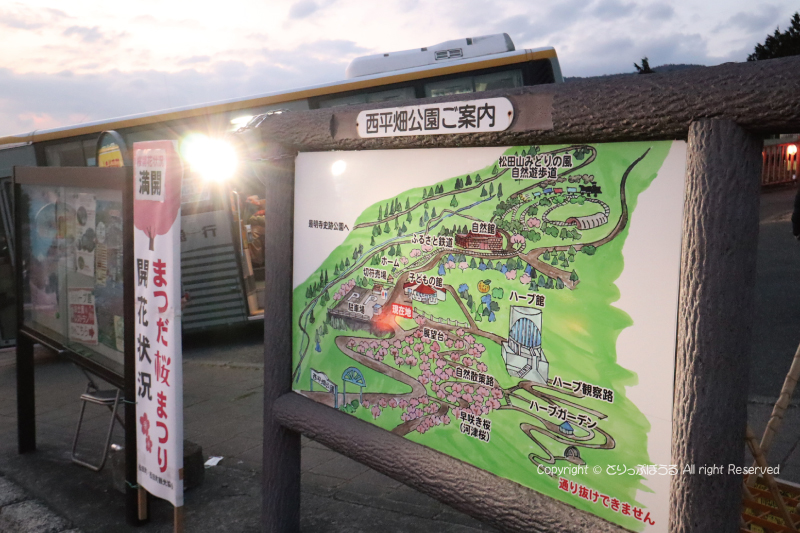 まつだ桜まつり会場シャトルバス