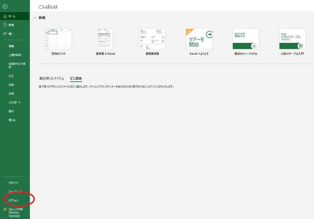 開発表示の為のオプション