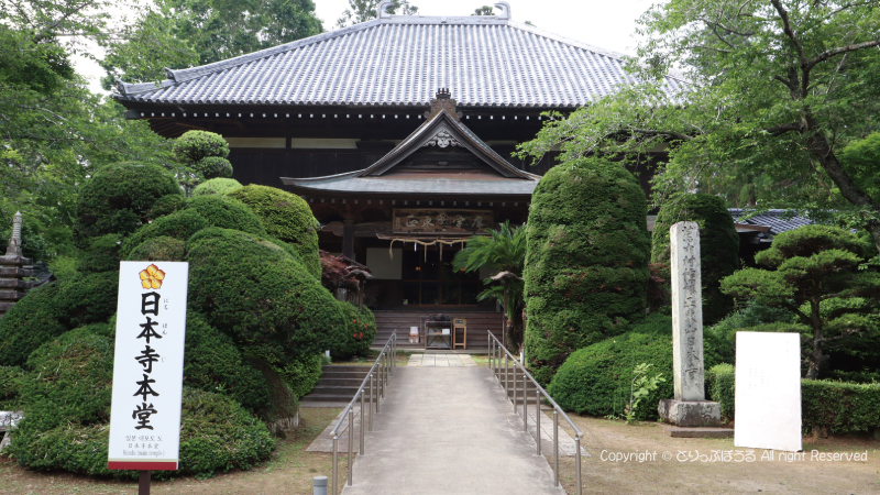 日本寺本堂