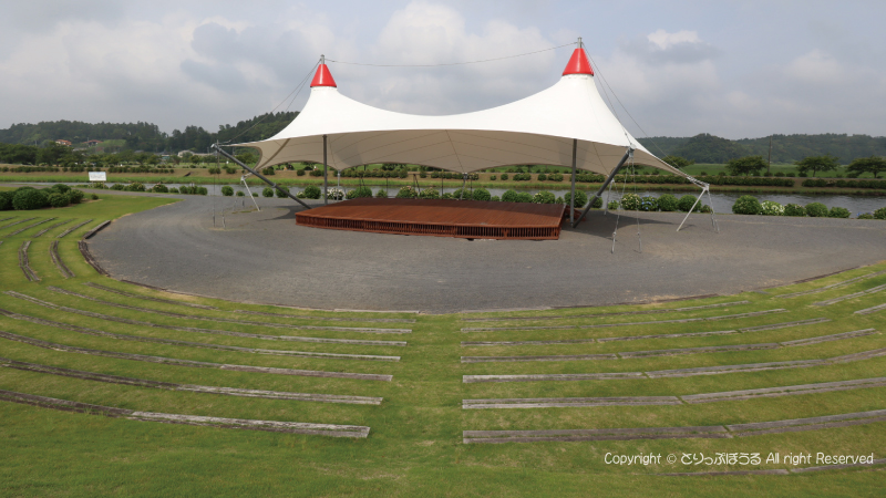 多古町のあじさい公園