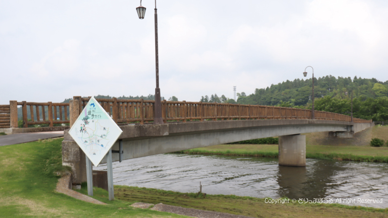 多古町あじさい公園のあじさい橋