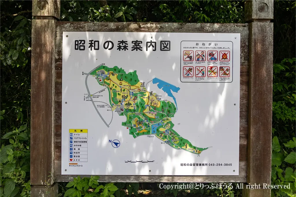 千葉市昭和の森マップ