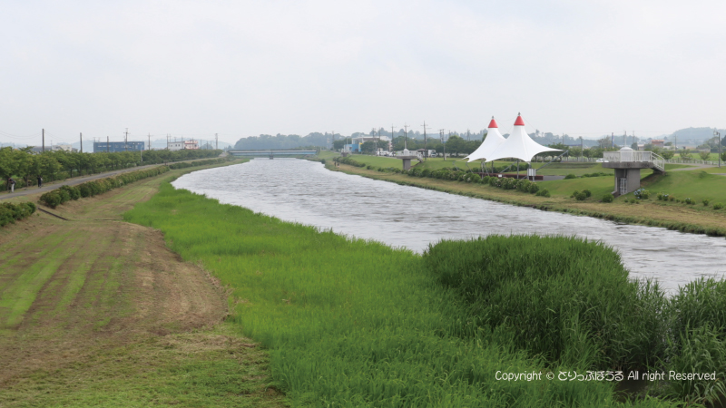 多古町あじさい橋からあじさい公園
