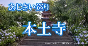 1200X630アイキャッチあじさい本土寺