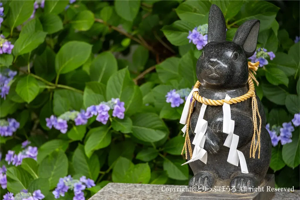 水戸八幡宮あじさいとうさぎ