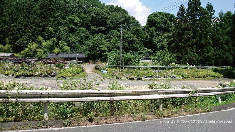 内野バス停からのT字路