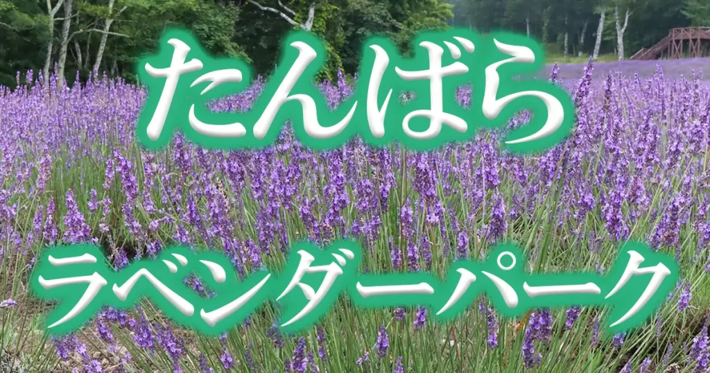 アイキャッチたんばらラベンダーパーク
