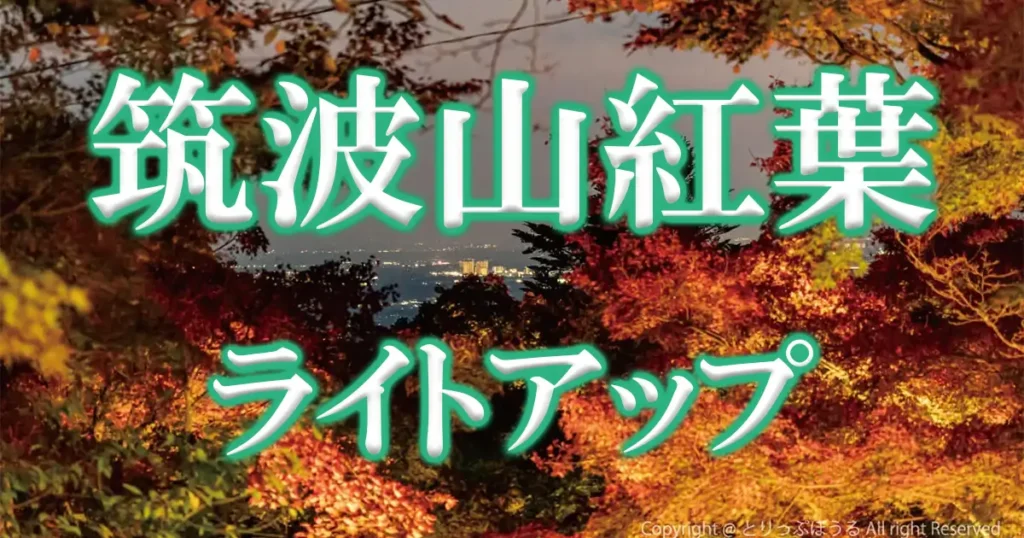 筑波山紅葉ライトアップアイキャッチ画像