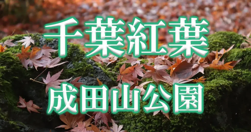 成田山公園紅葉アイキャッチ画像