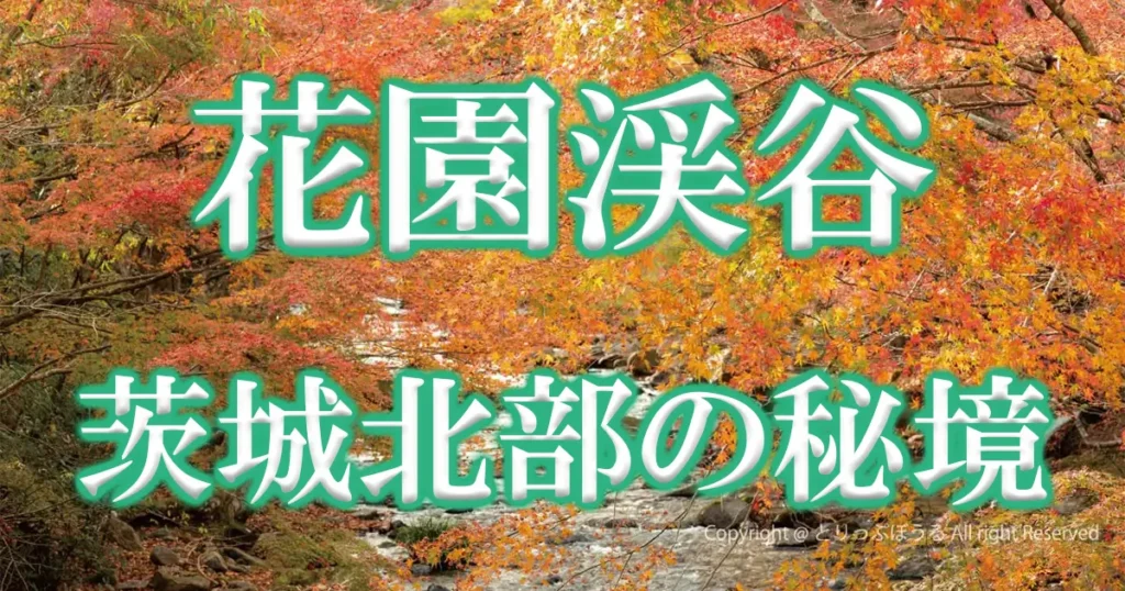 花園渓谷の紅葉アイキャッチ画像