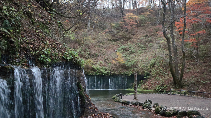 白糸の滝10月末紅葉