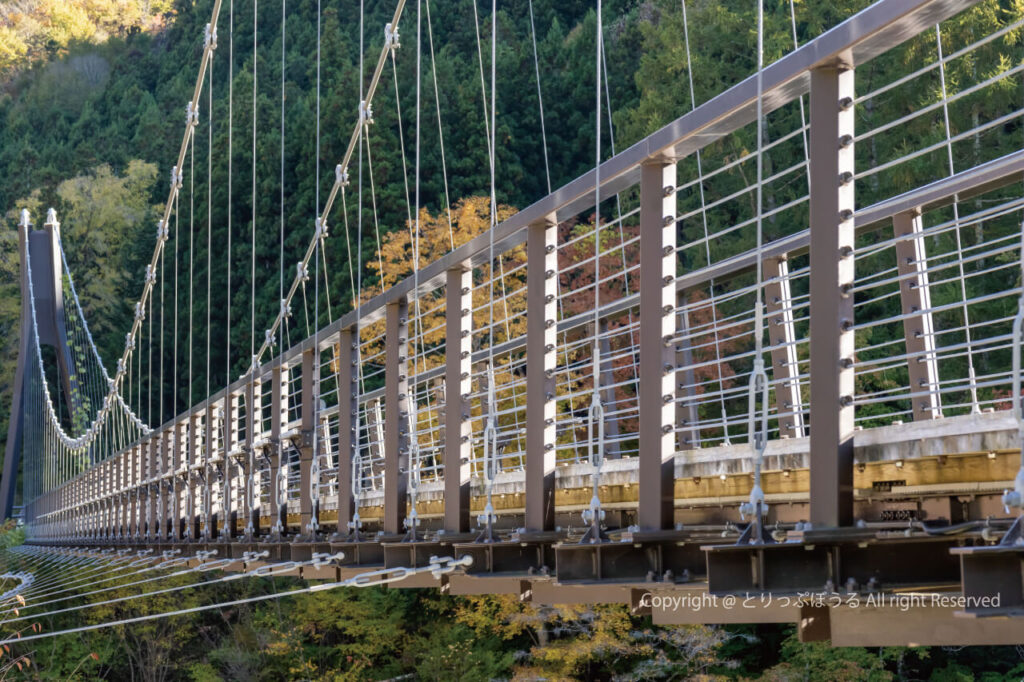 湯西川温泉水の郷真横から見た吊り橋