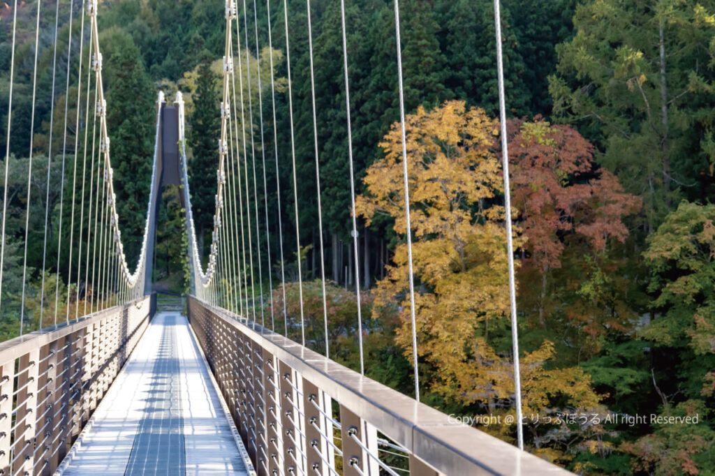 湯西川温泉水の郷吊り橋と紅葉