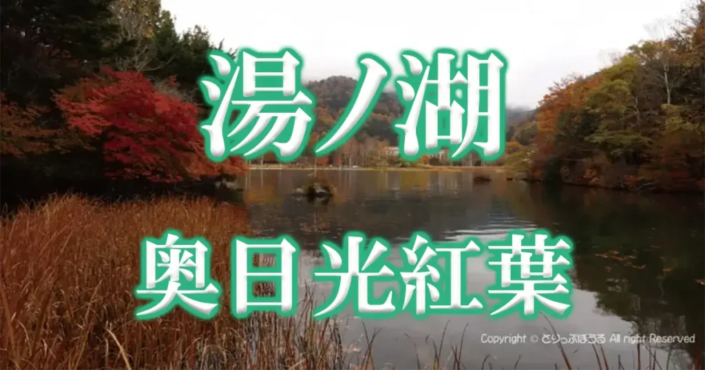 奥日光紅葉湯ノ湖アイキャッチ画像