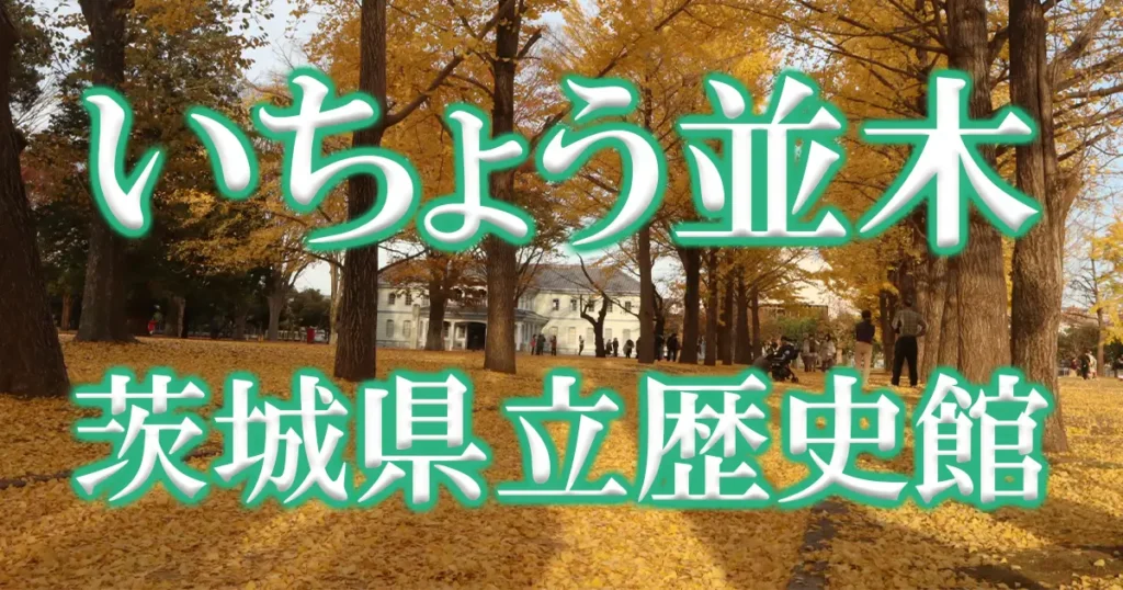 茨城県立歴史館いちょう並木道アイキャッチ画像
