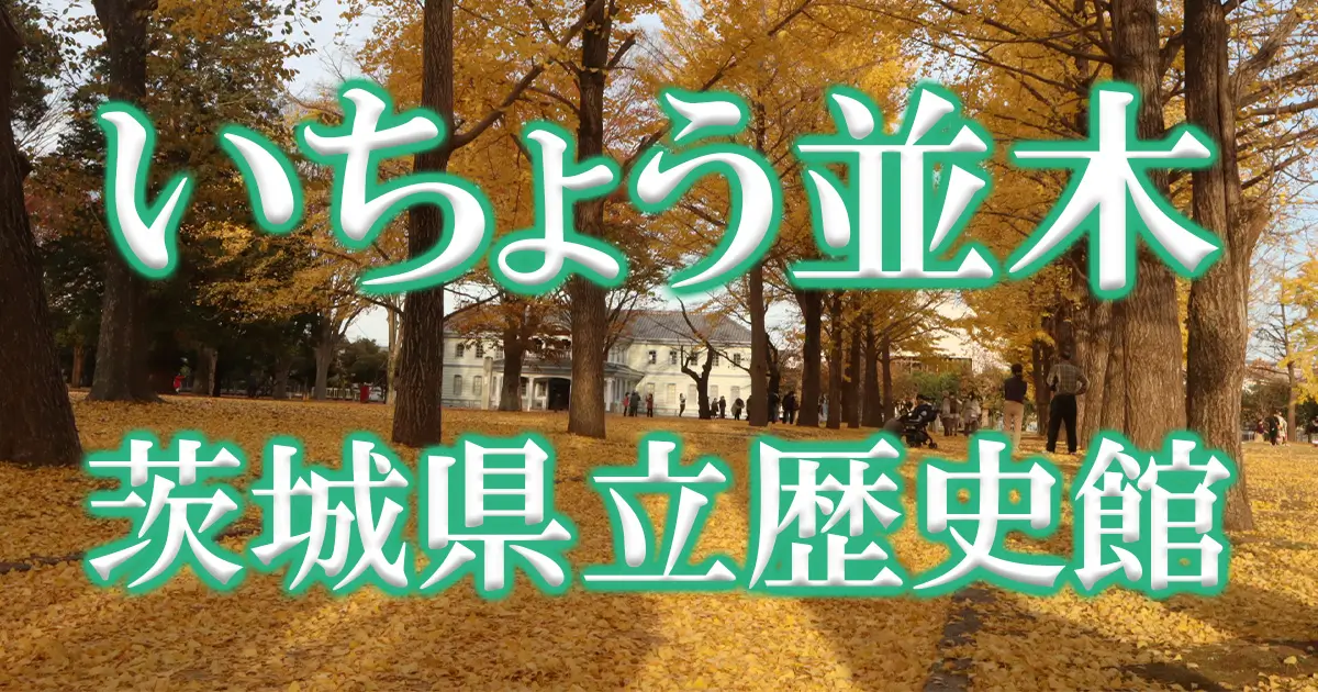 茨城県立歴史館いちょう並木道アイキャッチ画像