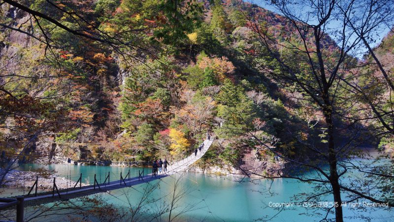 横からの紅葉とコバルトブルーの夢の吊橋