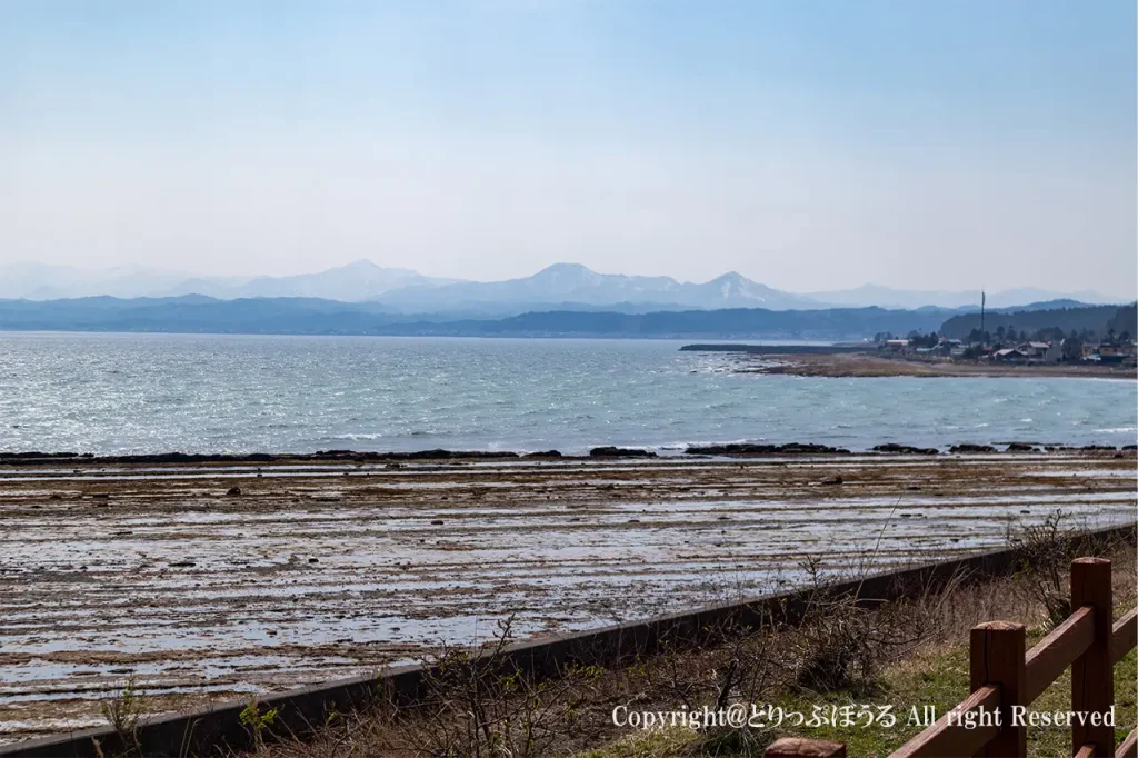 サラキ岬松前方面