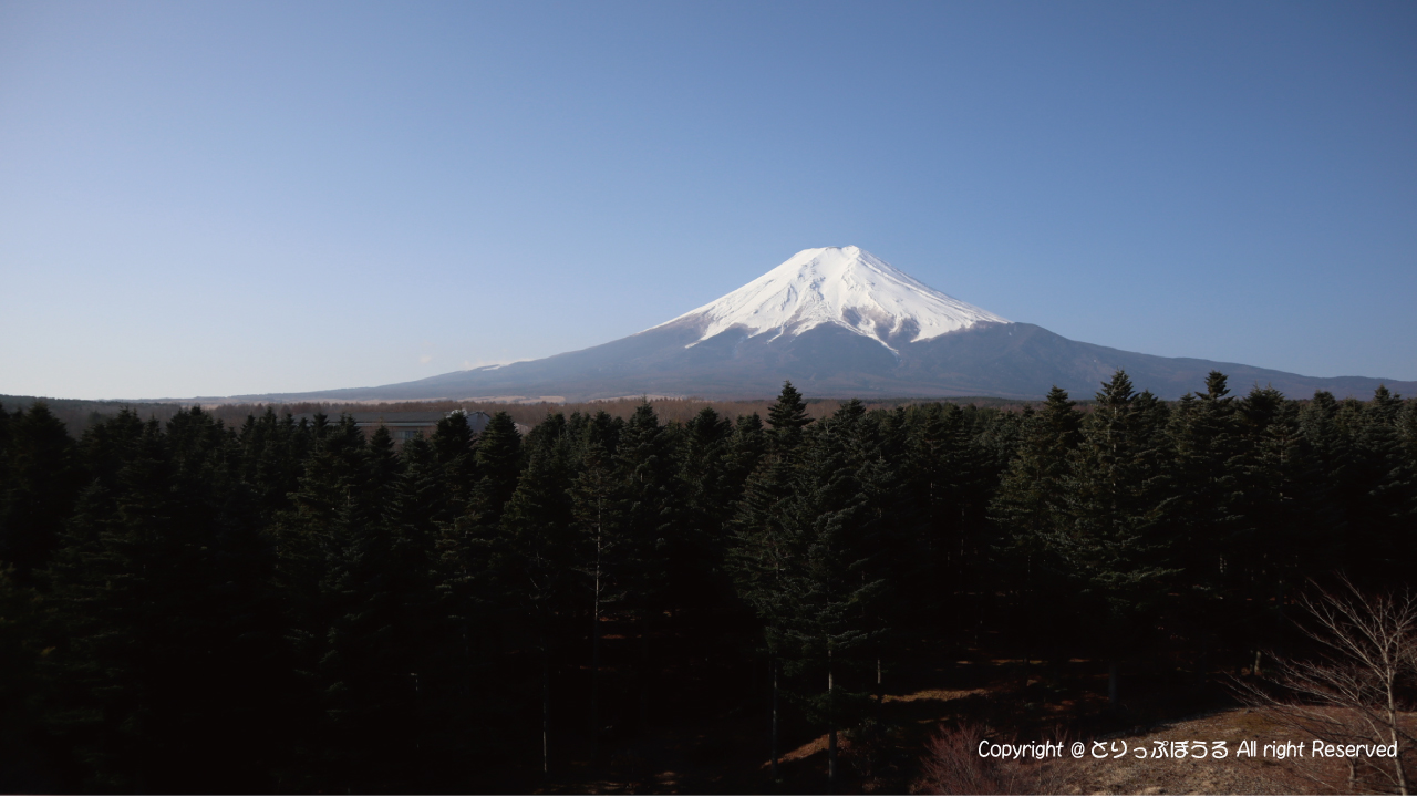 富士山レーダードーム館から富士山