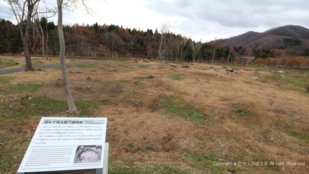 垣ノ島遺跡の竪穴建物跡