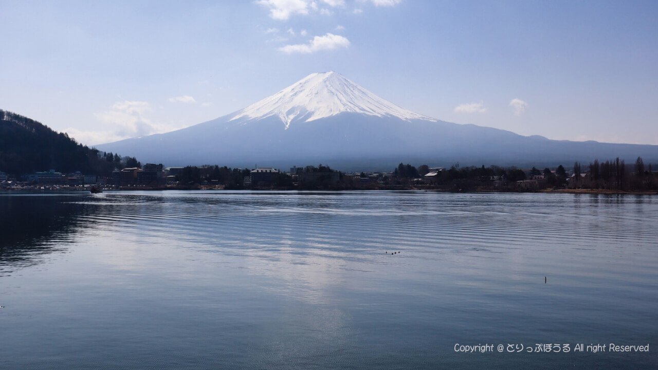 河口湖畔から富士山