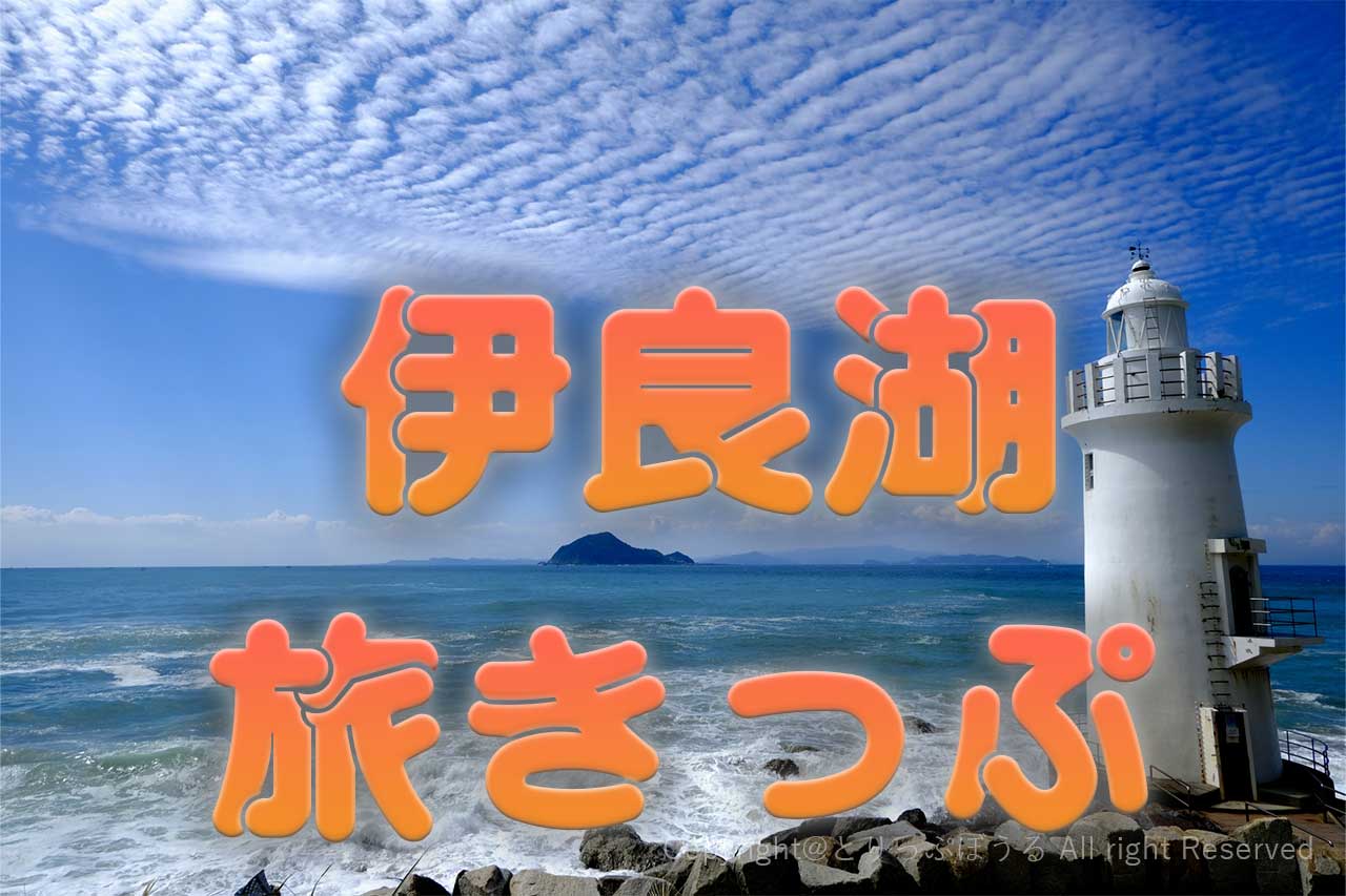 伊良湖旅きっぷ