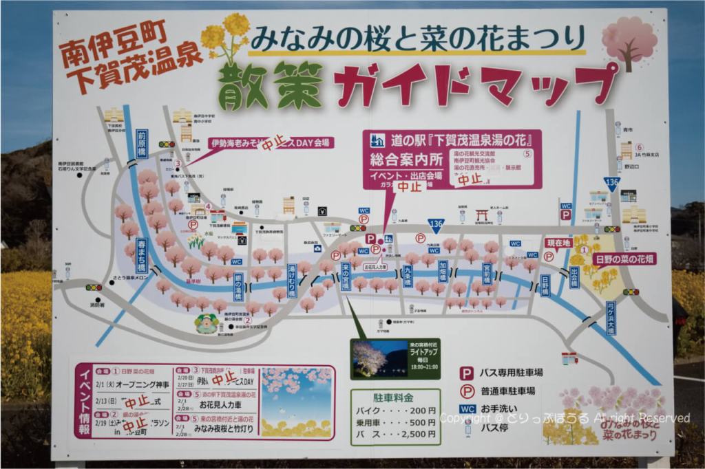 南伊豆町菜の花ガイドマップ