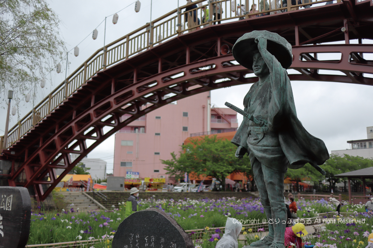 無料で楽しめる潮来駅前の水郷潮来あやめ園へ花菖蒲が広がる絶景