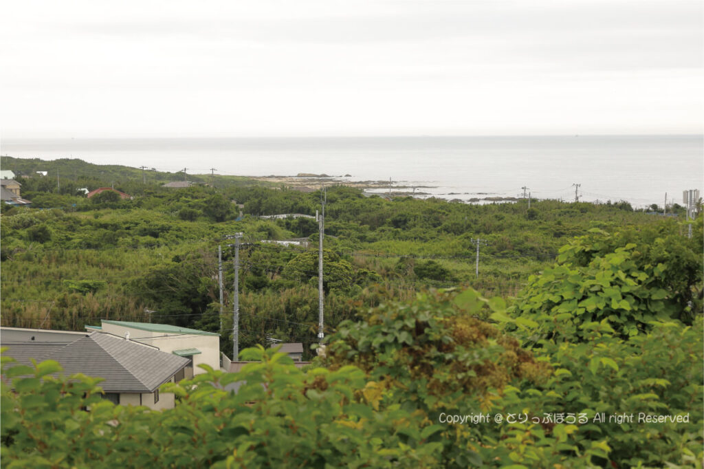 洲崎灯台展望デッキから太平洋