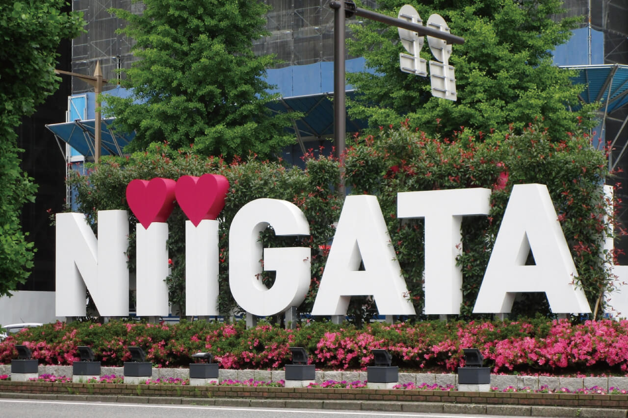 ライトアップされる道路の真ん中に設置されたniigataロゴオブジェ