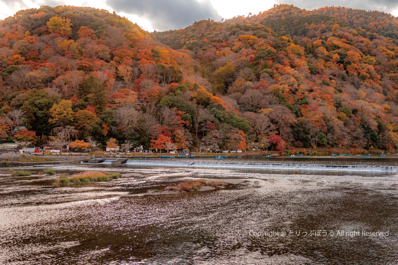 京都嵐山紅葉と鴨川