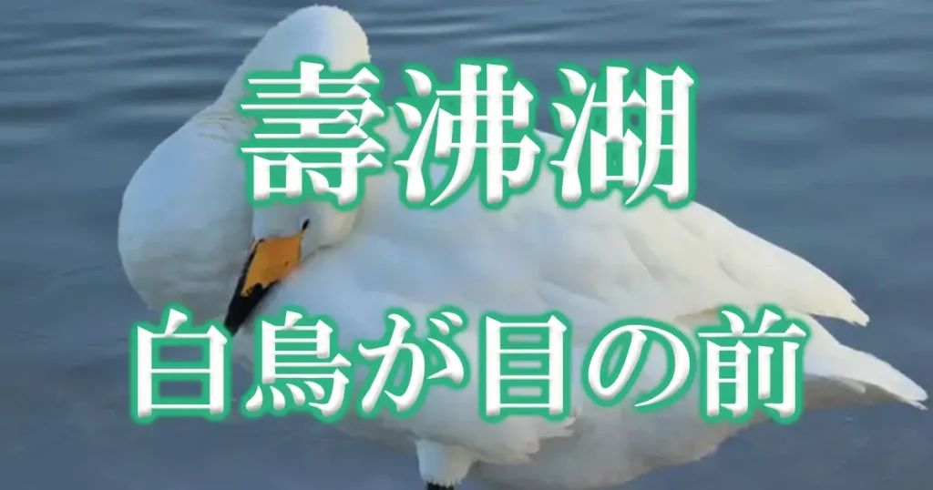 壽沸湖アイキャッチ