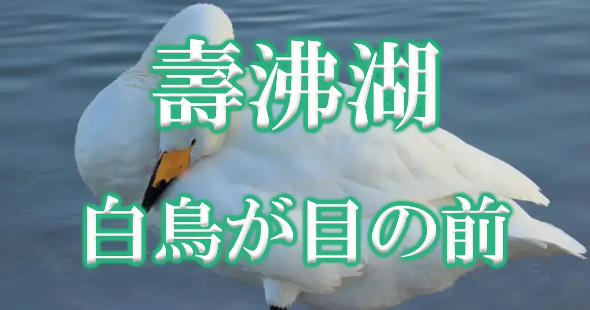 壽沸湖アイキャッチ