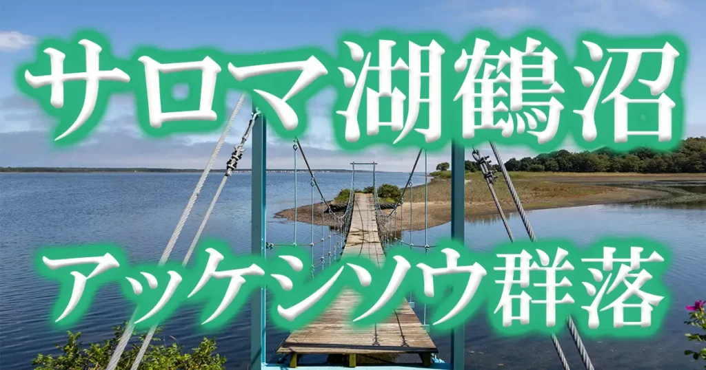 サロマ湖畔鶴沼アッケシソウ群落アイキャッチ