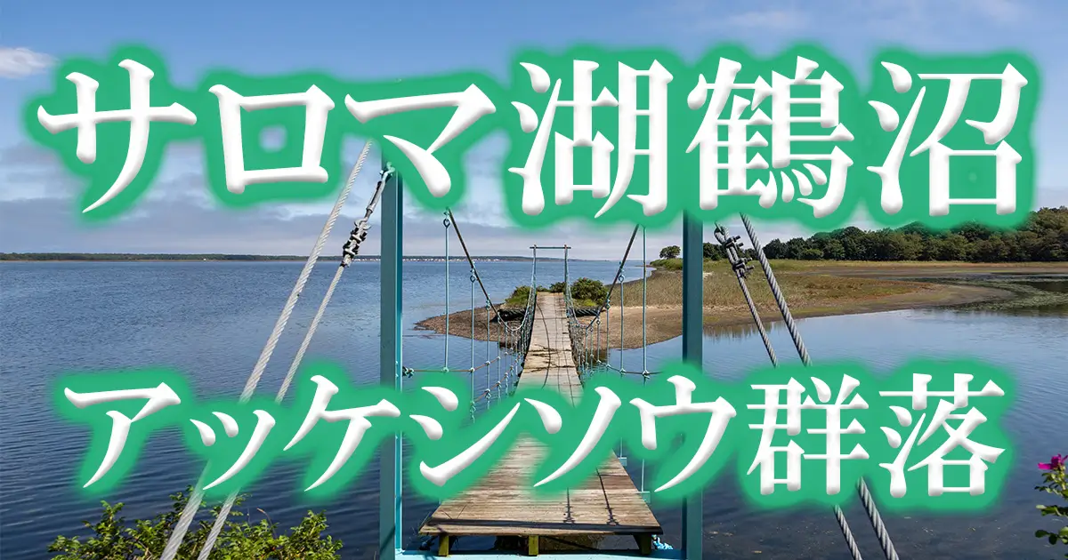 サロマ湖畔鶴沼アッケシソウ群落アイキャッチ
