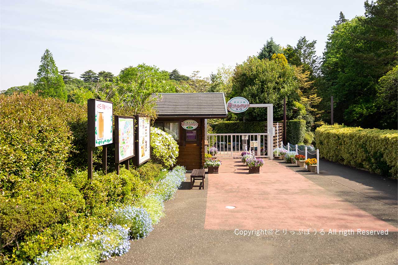 清水公園花ファンタジア入口