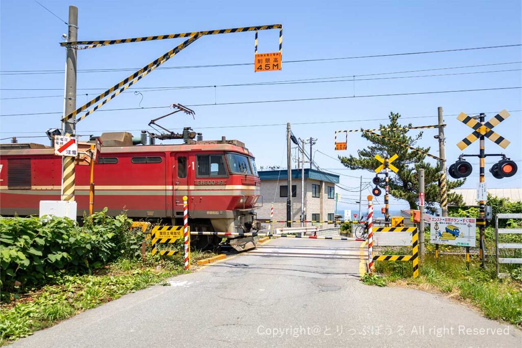 蟹田土場踏切と貨物列車