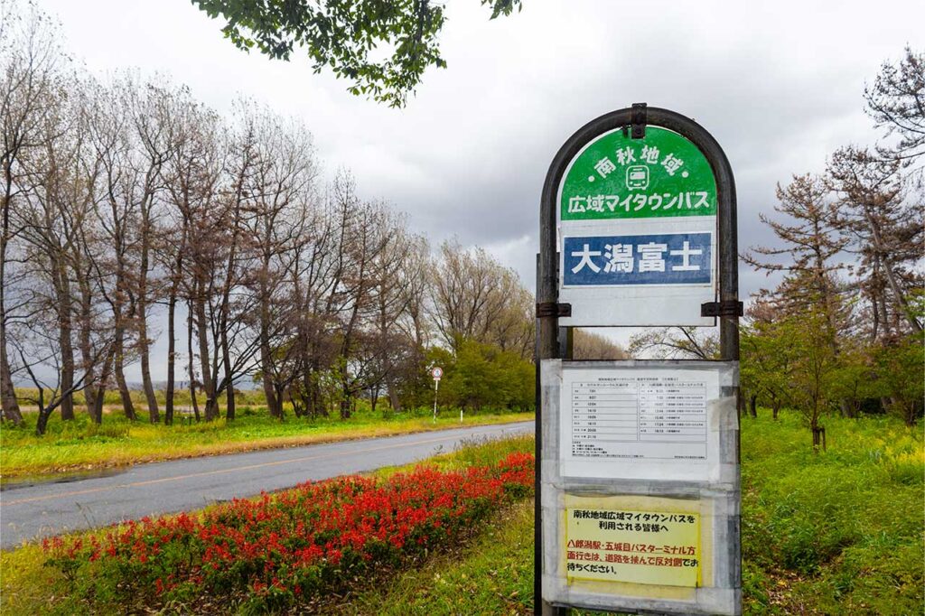 大潟富士バス停