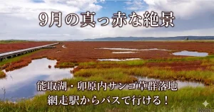 能取湖・卯原内サンゴ草群落地