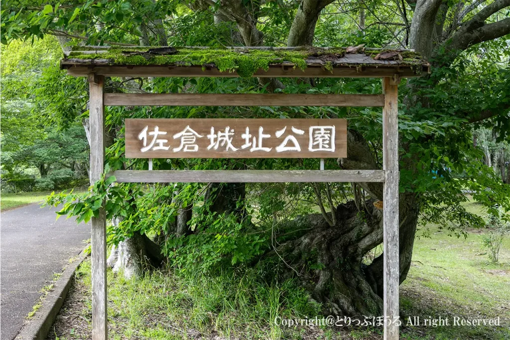 佐倉城址公園看板