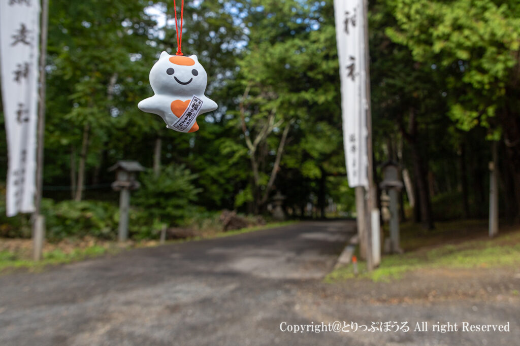 網走神社えぞみくじゲット