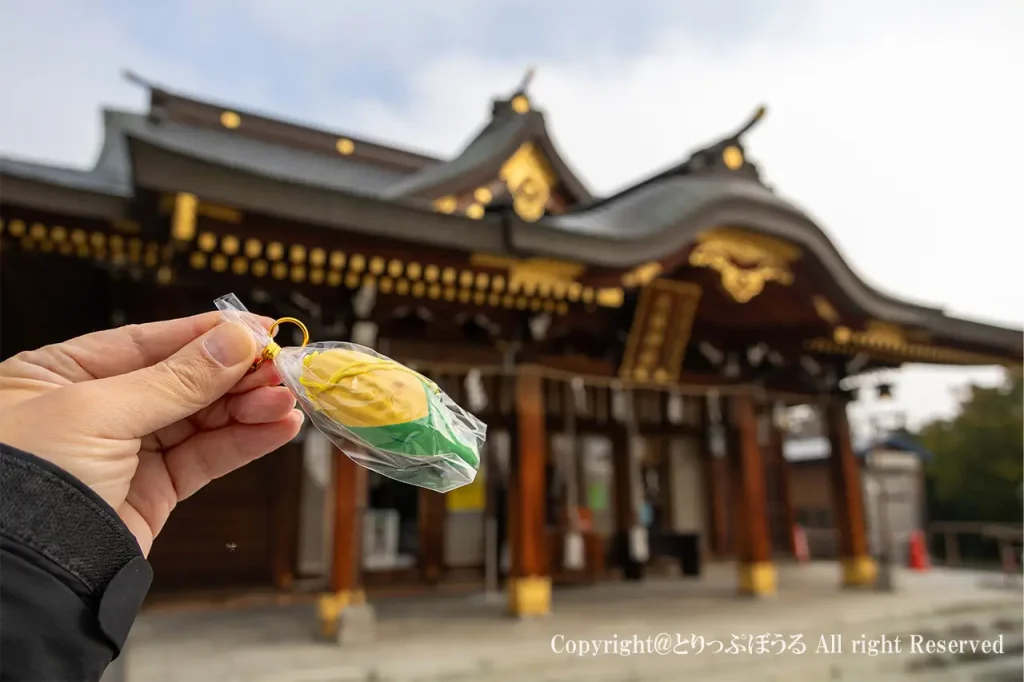 美瑛神社とうもろこしえぞみくじ