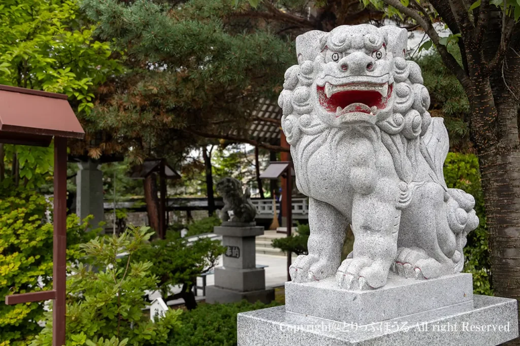 北見神社狛犬