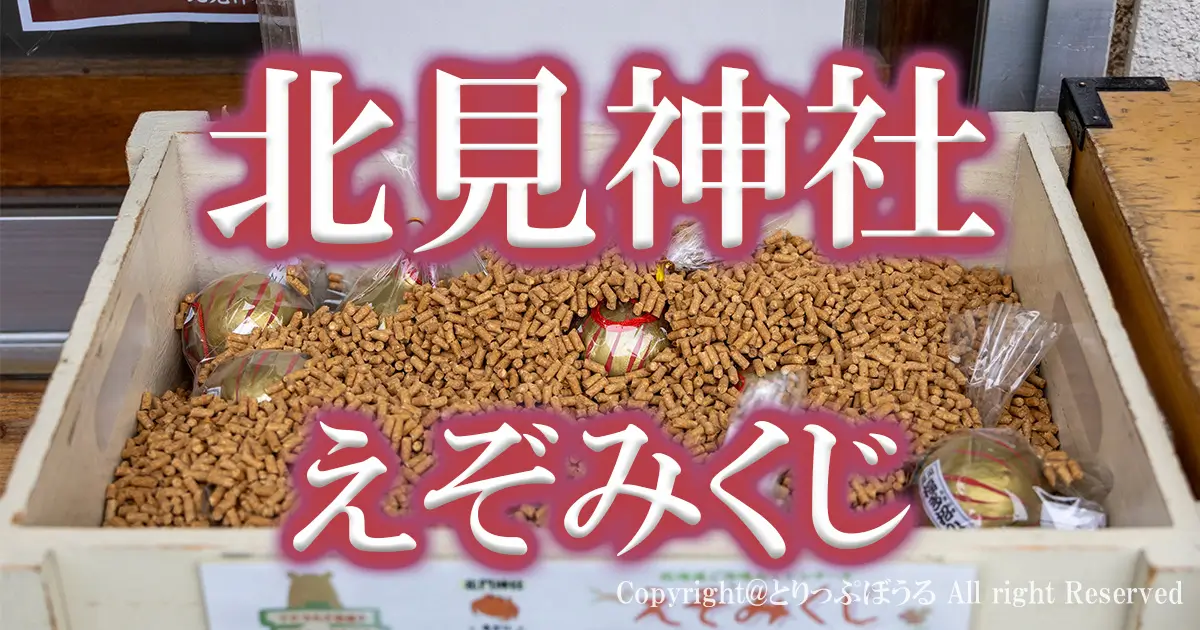 1200X630アイキャッチえぞみくじ北見神社